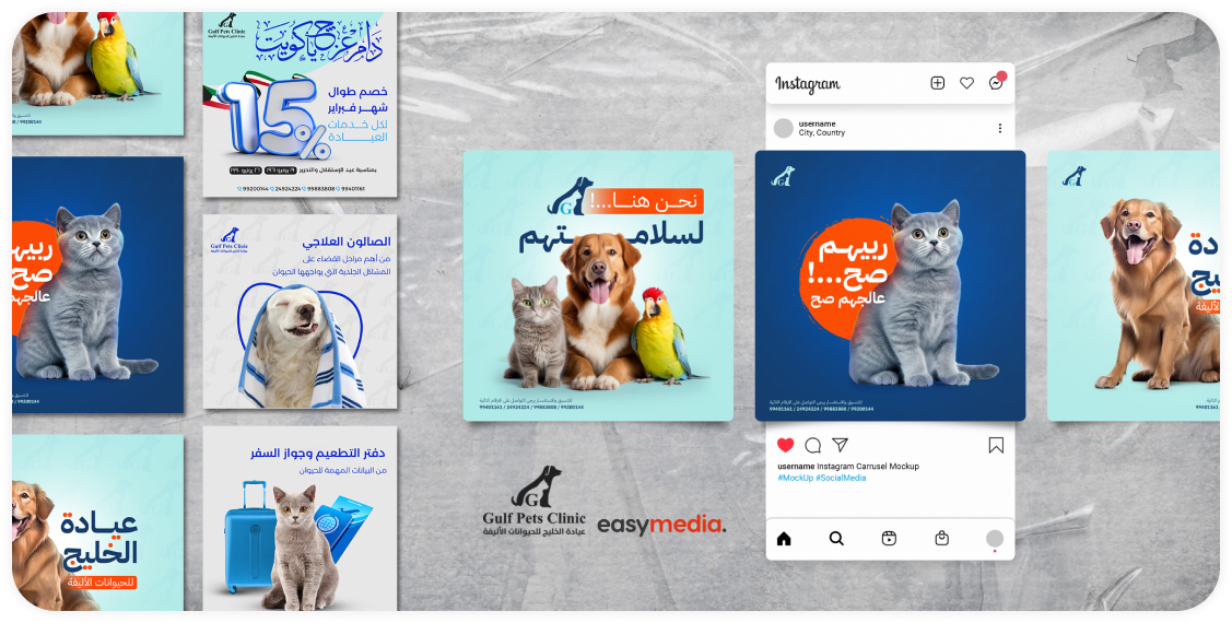Portfolio for digital marketing